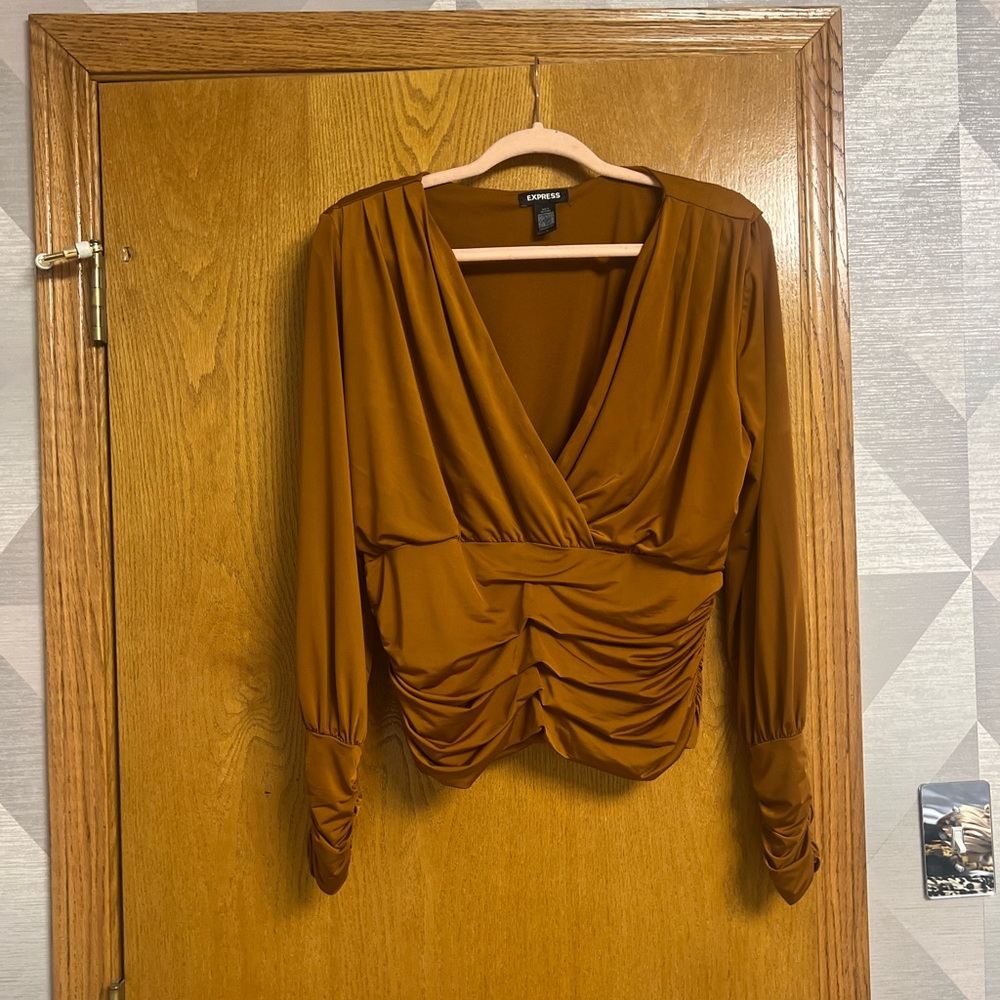 Express Rust V-Neck Ruched Blouse